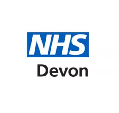 Devon Dementia Strategy - Overview Report - Work In Progress