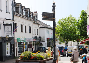 Shoppers in pedestrianised town centre